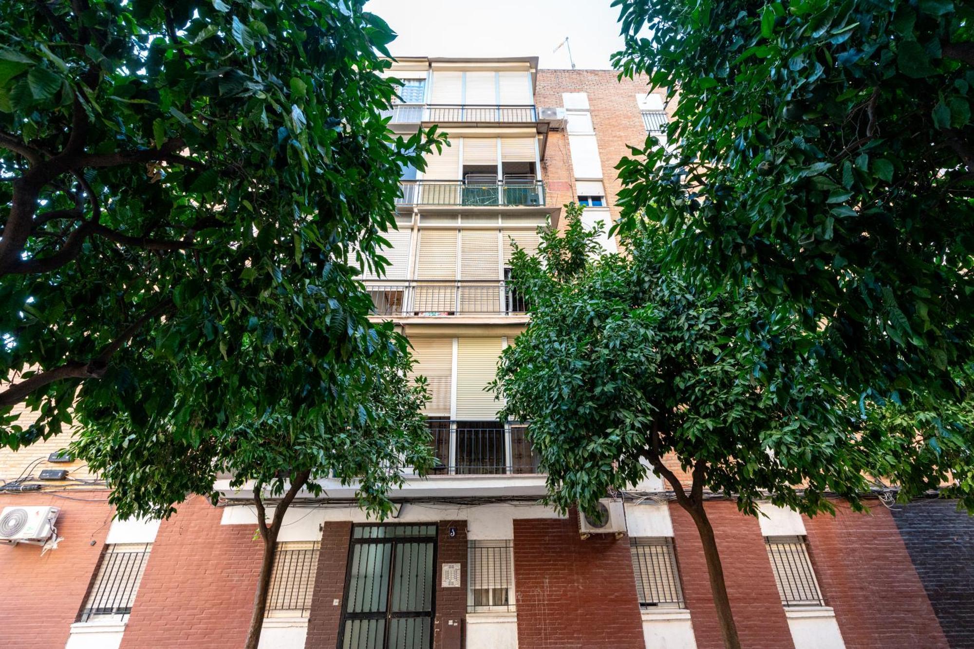 Piso Elegante Y Nuevo De 3 Y 2 Banos Appartement Sevilla